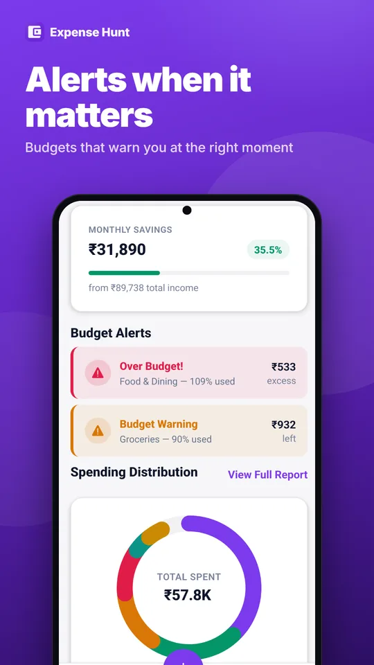 Budget alerts showing a category over budget and another near its limit